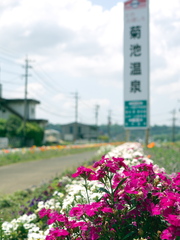 ようこそ熊本菊池温泉へ．