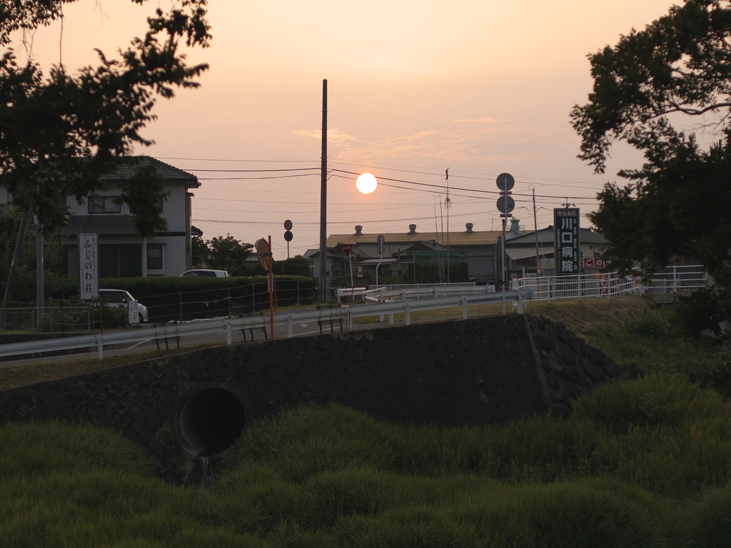 公園より望む夕日．