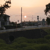 公園より望む夕日．