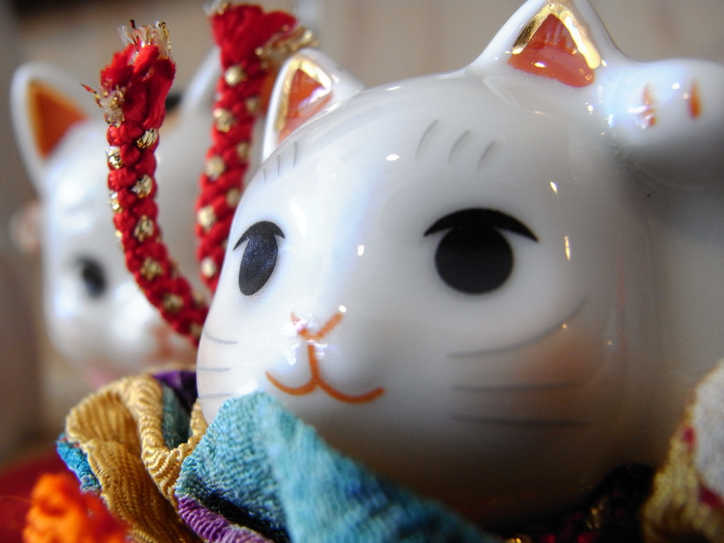 ねこ-１
