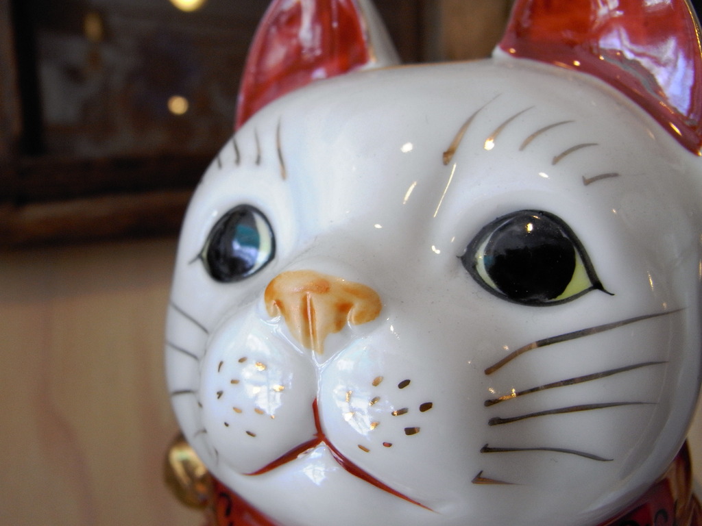 ねこ-４