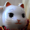 ねこ-２