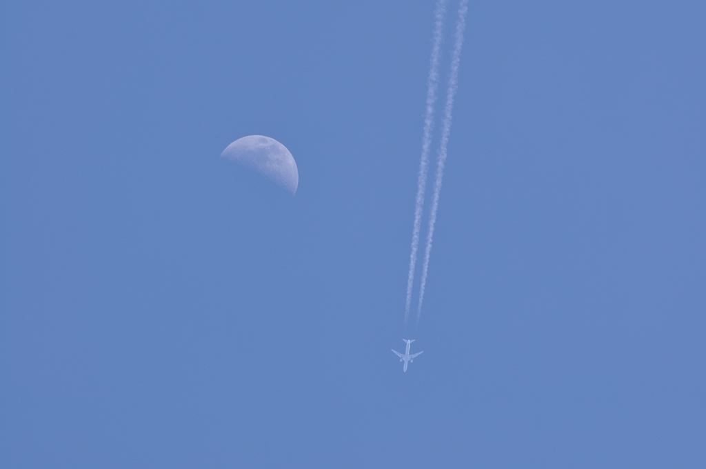 飛行機
