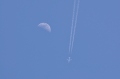 飛行機