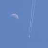 飛行機