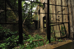 hatudenshoDSC_6664