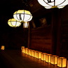 奈良の灯り