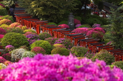 根津神社