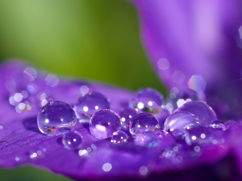 ｊewel box 