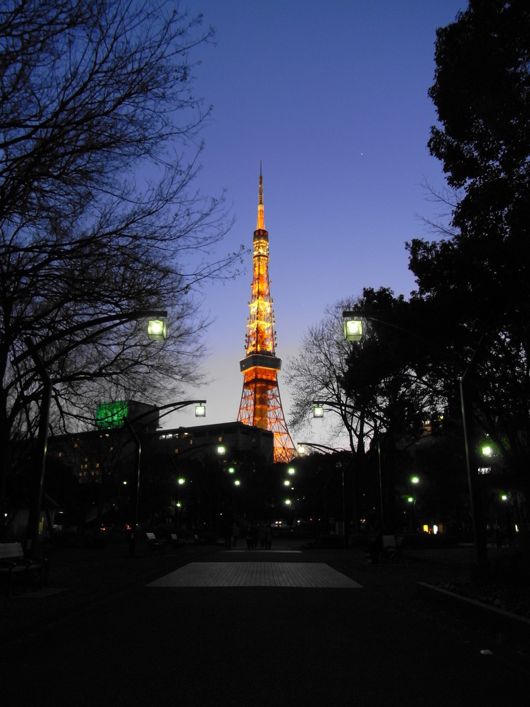 東京タワー3