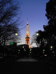 東京タワー3