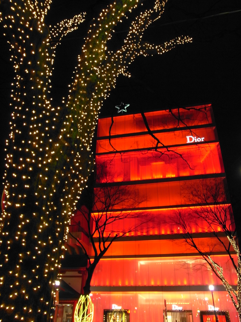 Ｄｉｏｒ　Ｔｒｅｅ