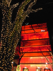 Ｄｉｏｒ　Ｔｒｅｅ