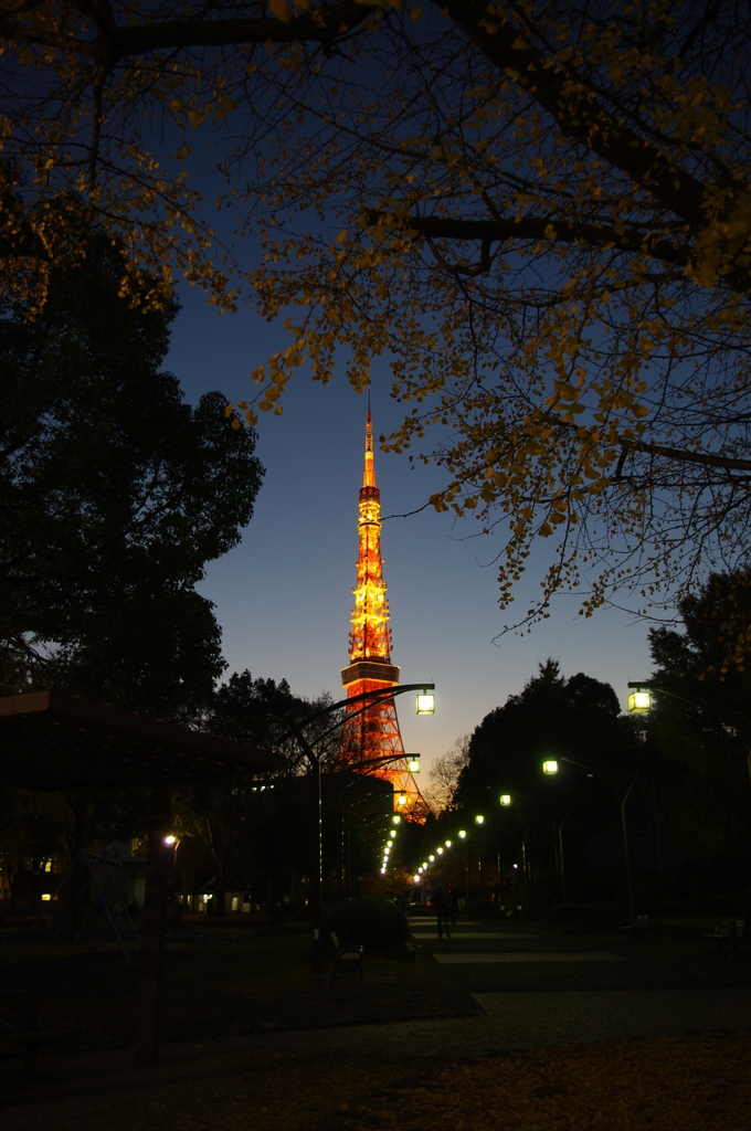 2010 Winter Tokyo Tower 1