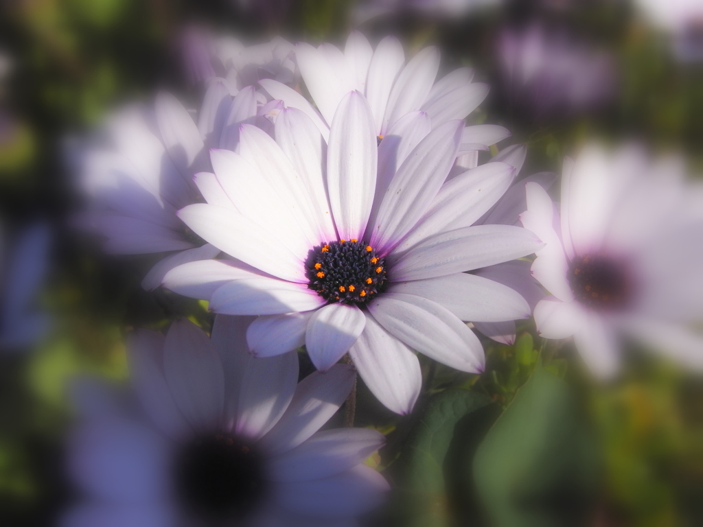 RIMG0113a