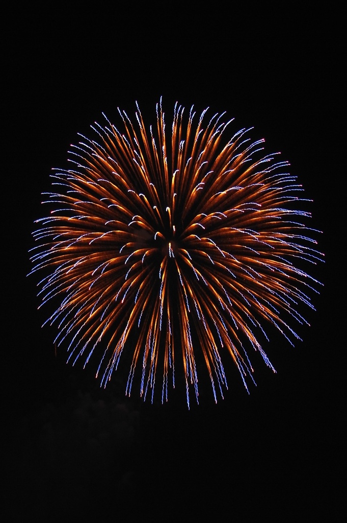浦安花火大会　2010-5