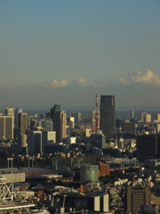 ヒルズと東京タワー