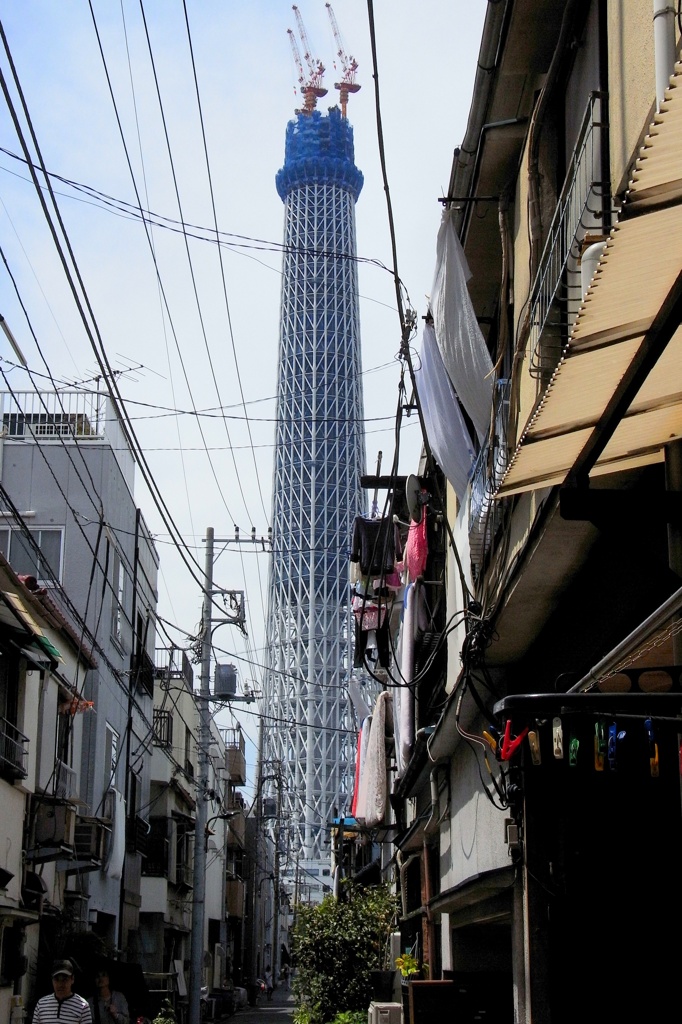 記憶より未来へ