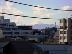 ２０１０元旦、実家屋上より