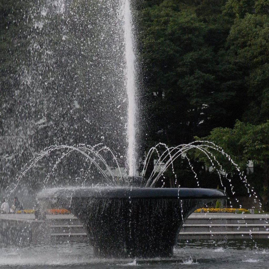 Splash
