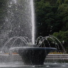 Splash