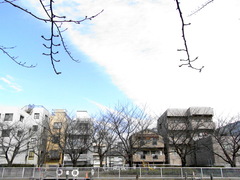 運河沿いの風景