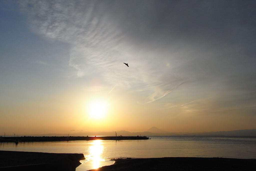 夕日と鳶
