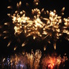 浦安花火大会　2010-13