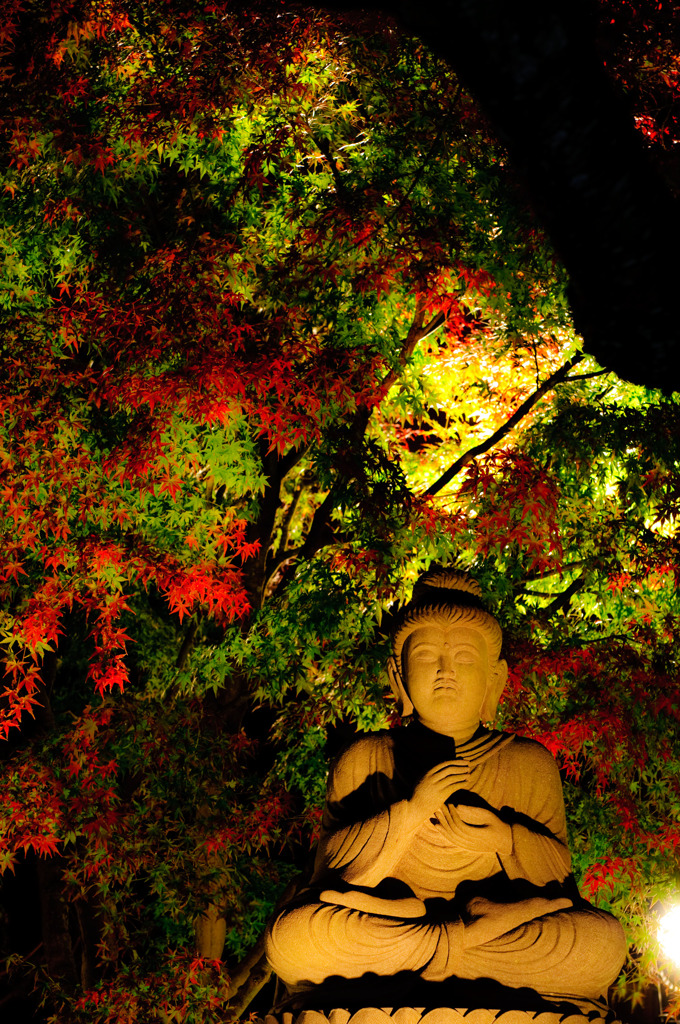 長谷寺の風景