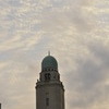_DSC0102
