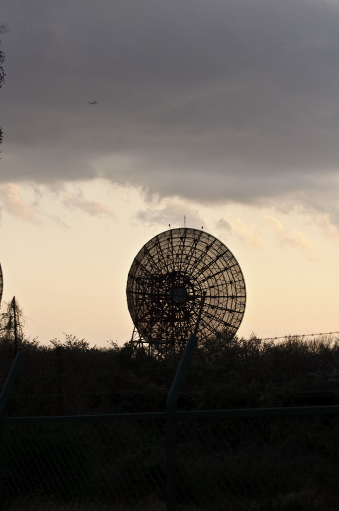DSC_0050