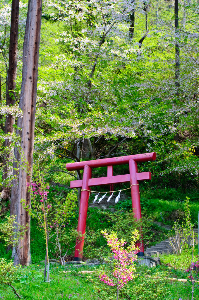 鳥居