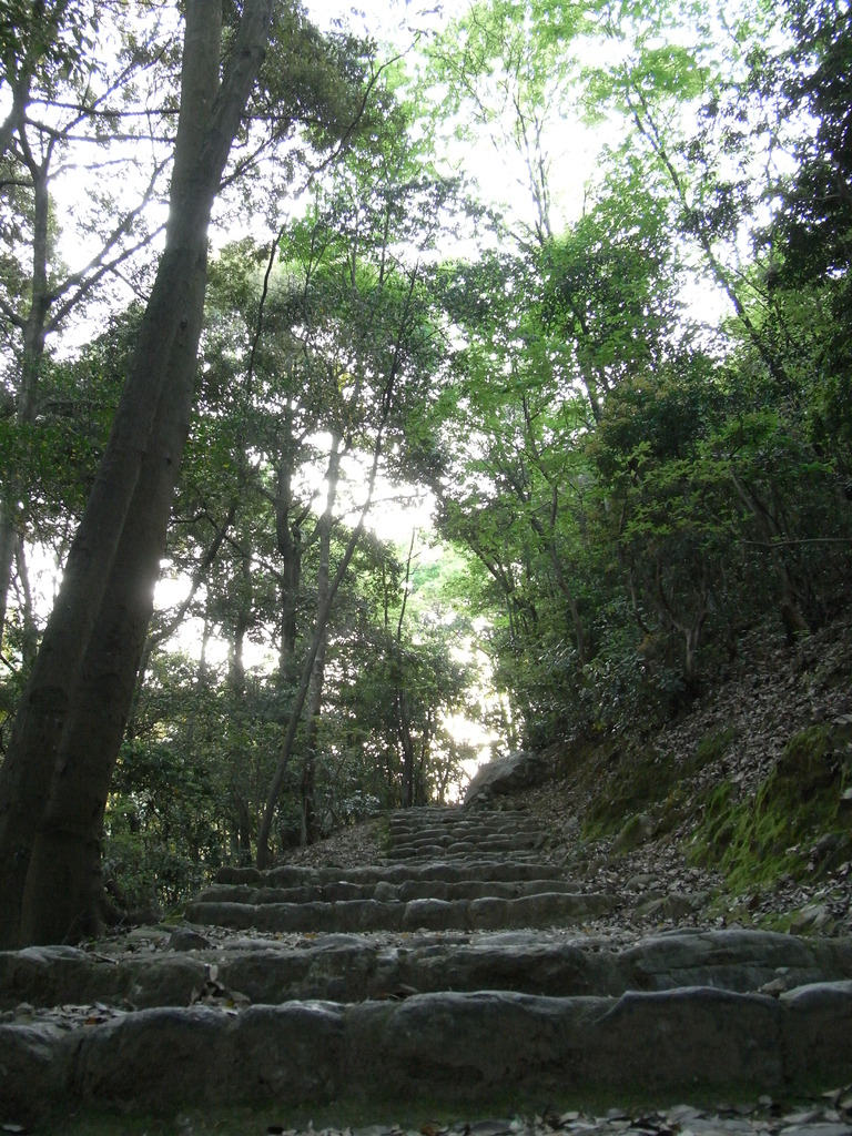 ちょっと山登ってきた