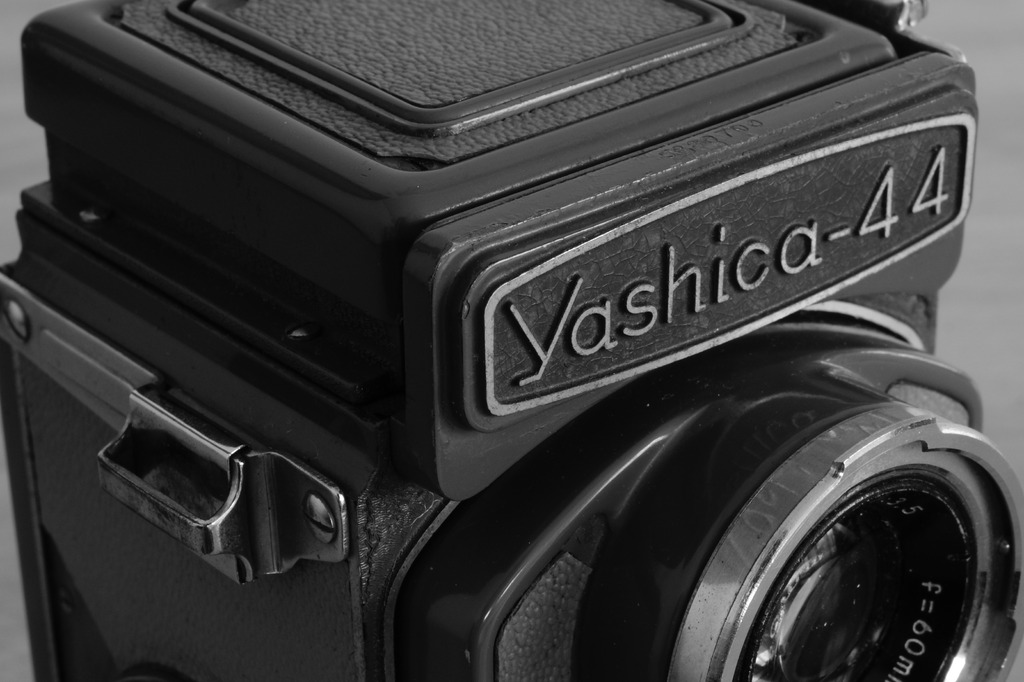 yashica44