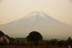 今日の富士山♪