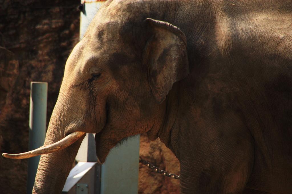 あ♪笑ったゾゥ～^^