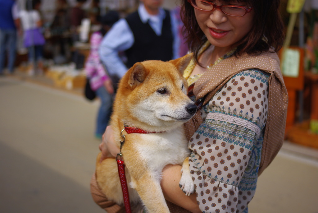 おねいちゃんに抱っこ