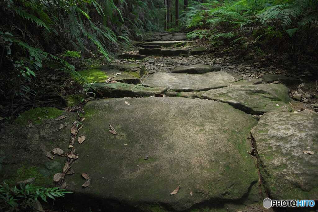 古道の石畳に魅せられて