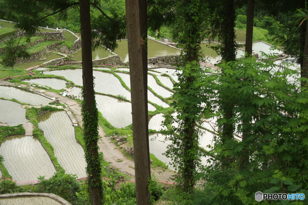 棚田で見た風景