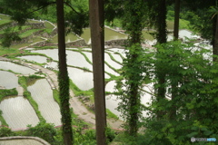 棚田で見た風景