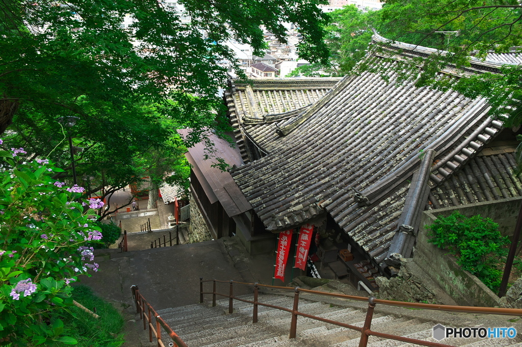 紀三井寺の石段