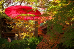 華やかな長寿寺参道