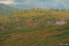 木曽御嶽山の紅葉