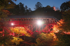 奥山方広寺、紅葉のゆうべ