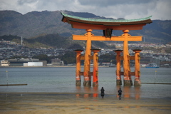 厳島神社。堂々の大鳥居