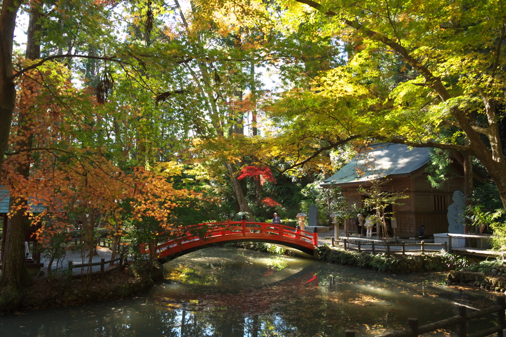 小國神社、輝く事待池