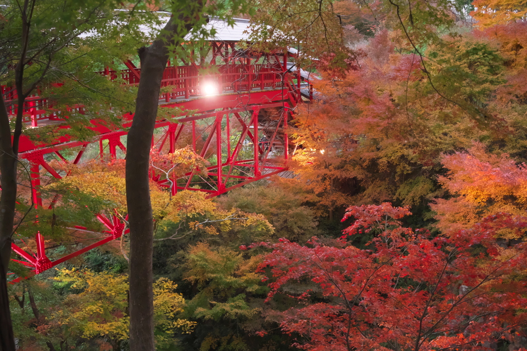 奥山方広寺のライトアップ