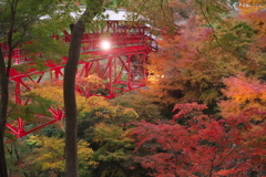 奥山方広寺のライトアップ