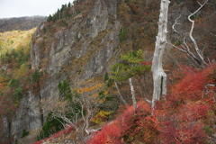 大台ケ原の彩り