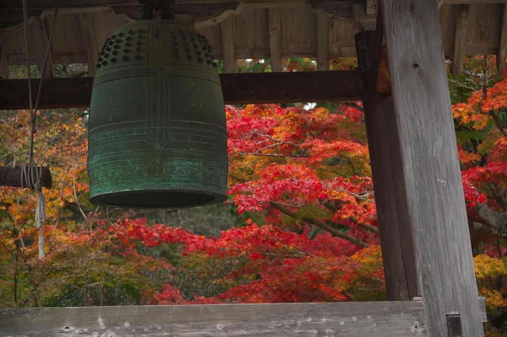 七色紅葉のある善水寺